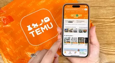 Temu Best-Selling Home & Living Picks: Comfort Meets Functionality