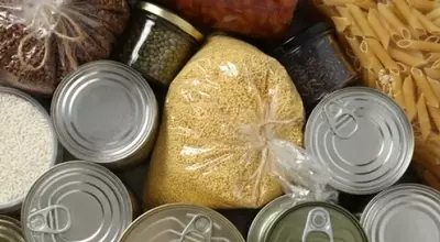 Combating Hunger and Food Waste: A Community Initiative Takes Root in Jessamine County