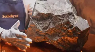 A Martian Meteorite's Journey to Auction