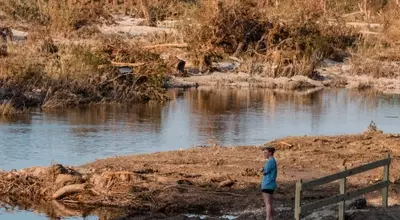 Resilience in the Wake of Disaster: A Texas Camp Reopens