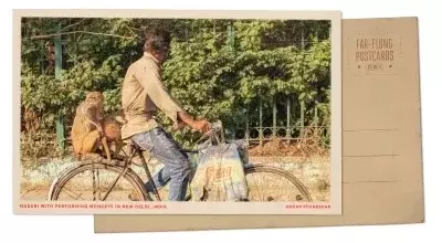 A Resonant Echo: Performing Monkeys in Delhi's Dynamic Landscape