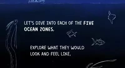 Unveiling the Ocean's Mysteries: A Deep Dive into its Ecological Zones