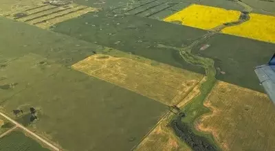 Close Call: Commercial Flight Evades Mid-Air Collision Near Military Base