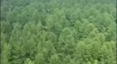 Russian Aircraft Goes Down in Far East