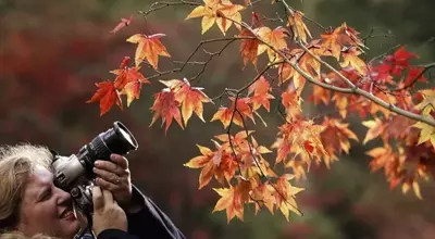 World Photography Day: Share Your Story Through Images
