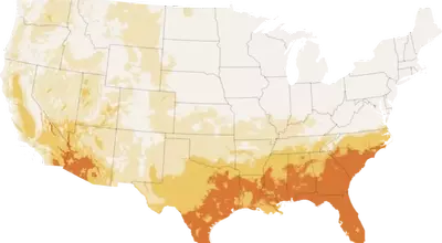 California's Unusually Cool Summer: A Climatic Anomaly Affecting the Golden State