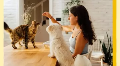The 'Cat vs. Dog' Parenting Approach: Guiding Children Through Development