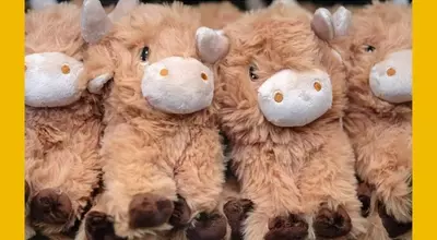 The Rise of Cow-Themed Toys: A 'Moo-stalgic' Trend