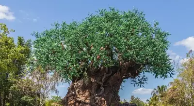 A Magical Family Journey: Discovering Unity at Disney's Animal Kingdom