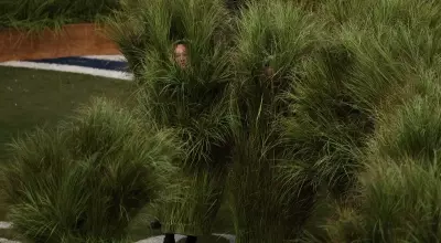 The Unsung Heroes of Bad Bunny's Super Bowl Halftime Show: Becoming the Iconic Sugarcane Grass