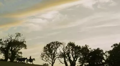 A Visual Feast: "A Knight of the Seven Kingdoms" Redefines Television Aesthetics