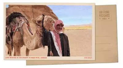 Wadi Rum Blooms: A Desert Transformed by Winter Rains