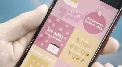 AI Revolutionizes Cherry Blossom Forecasts in Japan