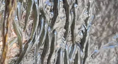 The Amazing Feat of Waterfall-Climbing Fish