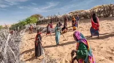 Africa's Great Green Wall: A Grand Vision Facing Formidable Hurdles