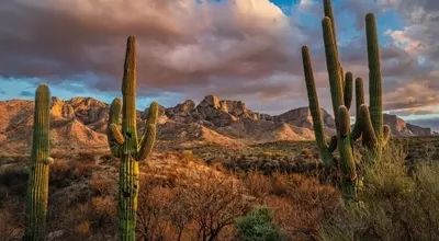 Tucson: The Southwest's Unsung Gem for Travelers