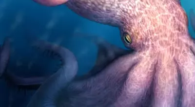 Giant Octopuses Roamed Cretaceous Seas