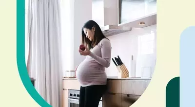 A Week-by-Week Guide to Fetal Development: From Seed to Watermelon