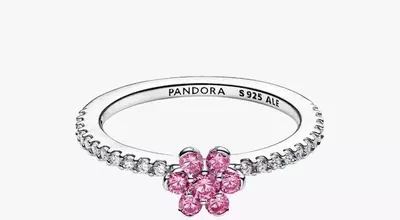 Pandora Jewelry Takes Center Stage at Met Gala 2026: Shop the Looks