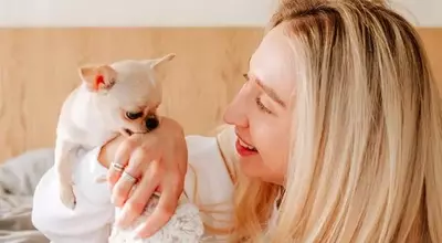 Understanding and Managing Your Dog's Nibbling Behavior