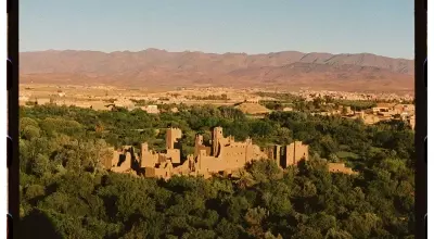 The Enduring Tradition and Evolving Future of Morocco's Rose Valley