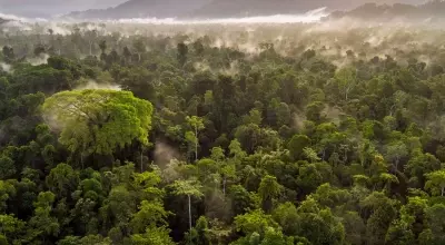 The EU Deforestation Regulation and the Future of Leather