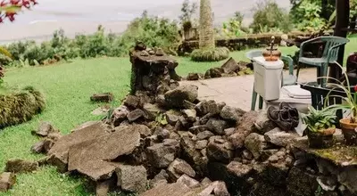 Earthquake Devastates Water Supply for Kona Coffee Farmers