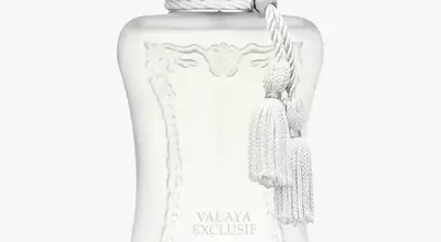 Top Long-Lasting Fragrances for All-Day Wear