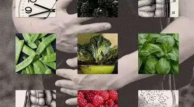 Cyclospora Outbreak: A Growing Public Health Concern