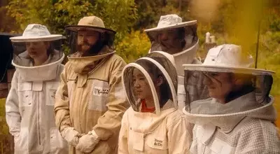 Veterinary Students Expand Focus to Honeybee Health