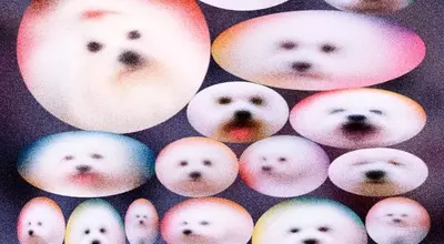The Ethical Dilemma of Pet Cloning: Replicating Companionship