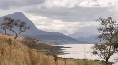 Hope Lodge: A Rewilding Retreat in the Scottish Highlands