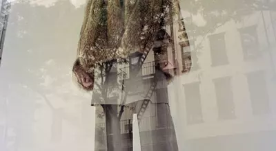 CDLM: A Rebellious Approach to Modern Fashion
