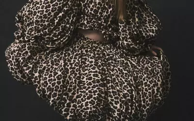 Viviano's Spring 2027 Collection: A Dreamlike Fusion of Fantasy and Wearability