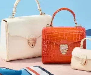 Elevate Your Style: Bag Selection