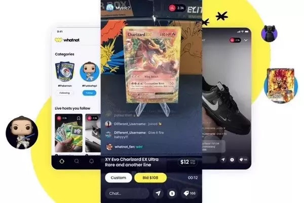Unleashing Whatnot: The Interactive Auction Destination for Collectors