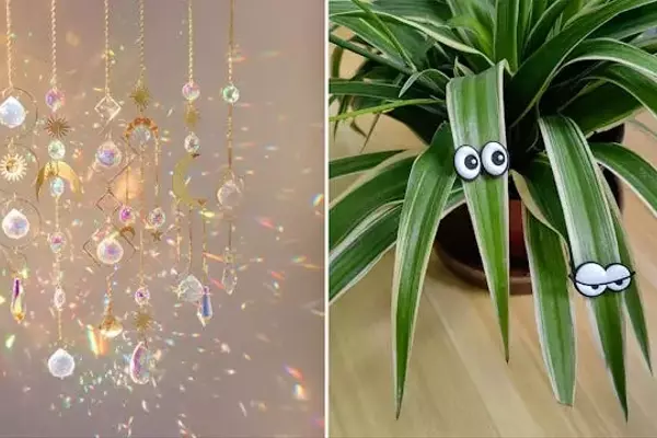 Whimsical Wonders: Budget-Friendly Charms for Every Home