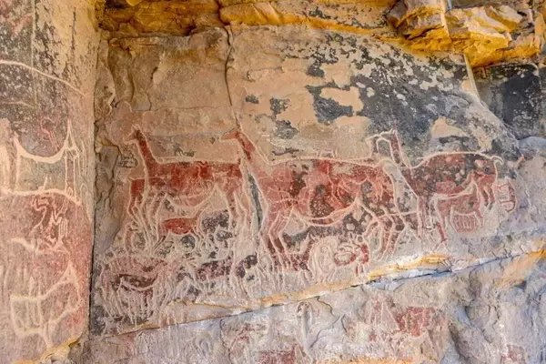 Prehistoric Culinary Sophistication Revealed