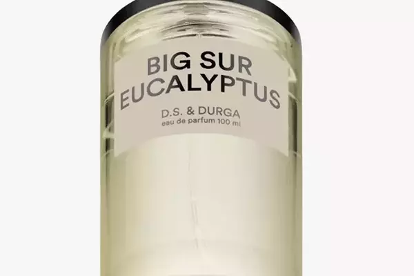 The Ultimate Spring Cologne Guide for Men