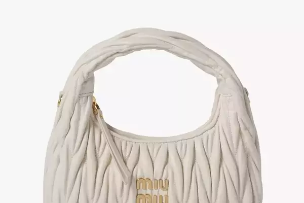The Enduring Allure of Miu Miu's Wander Bag