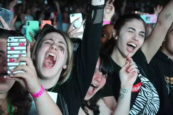 The Evolution of Fandom and its Commercial Impact