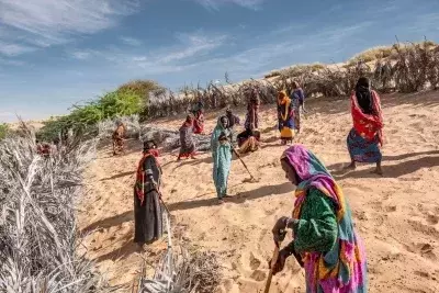 Africa's Great Green Wall: A Grand Vision Facing Formidable Hurdles