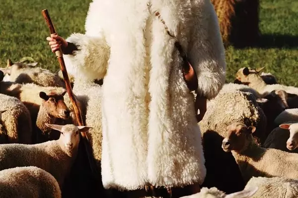 Unraveling the Ethical Threads of Wool in Fashion: A Documentary Insight