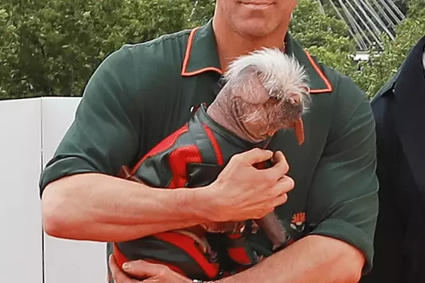 Ryan Reynolds's Exquisite Watch Collection