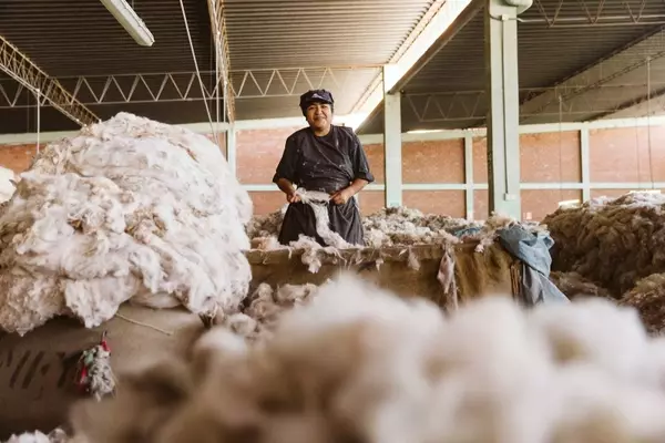 New EU Directive to Combat Greenwashing in Fashion Industry