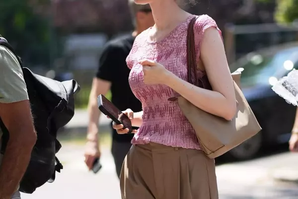 Longchamp's Le Pliage Bag: A Resurgent Phenomenon Among Youth
