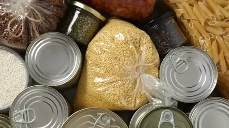 Combating Hunger and Food Waste: A Community Initiative Takes Root in Jessamine County