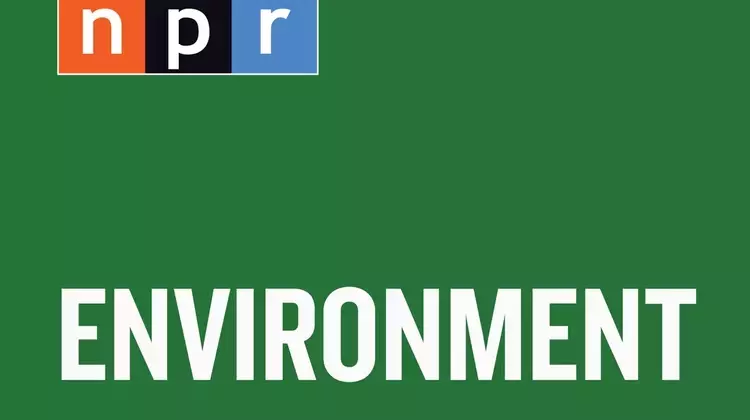 The Enduring Challenge of Sealing Abandoned Oil and Gas Wells Across the U.S.