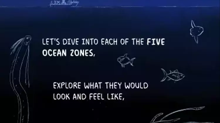 Unveiling the Ocean's Mysteries: A Deep Dive into its Ecological Zones