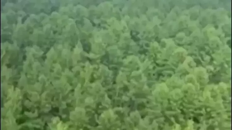 Russian Aircraft Goes Down in Far East